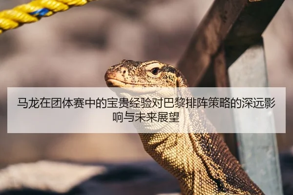 马龙在团体赛中的宝贵经验对巴黎排阵策略的深远影响与未来展望